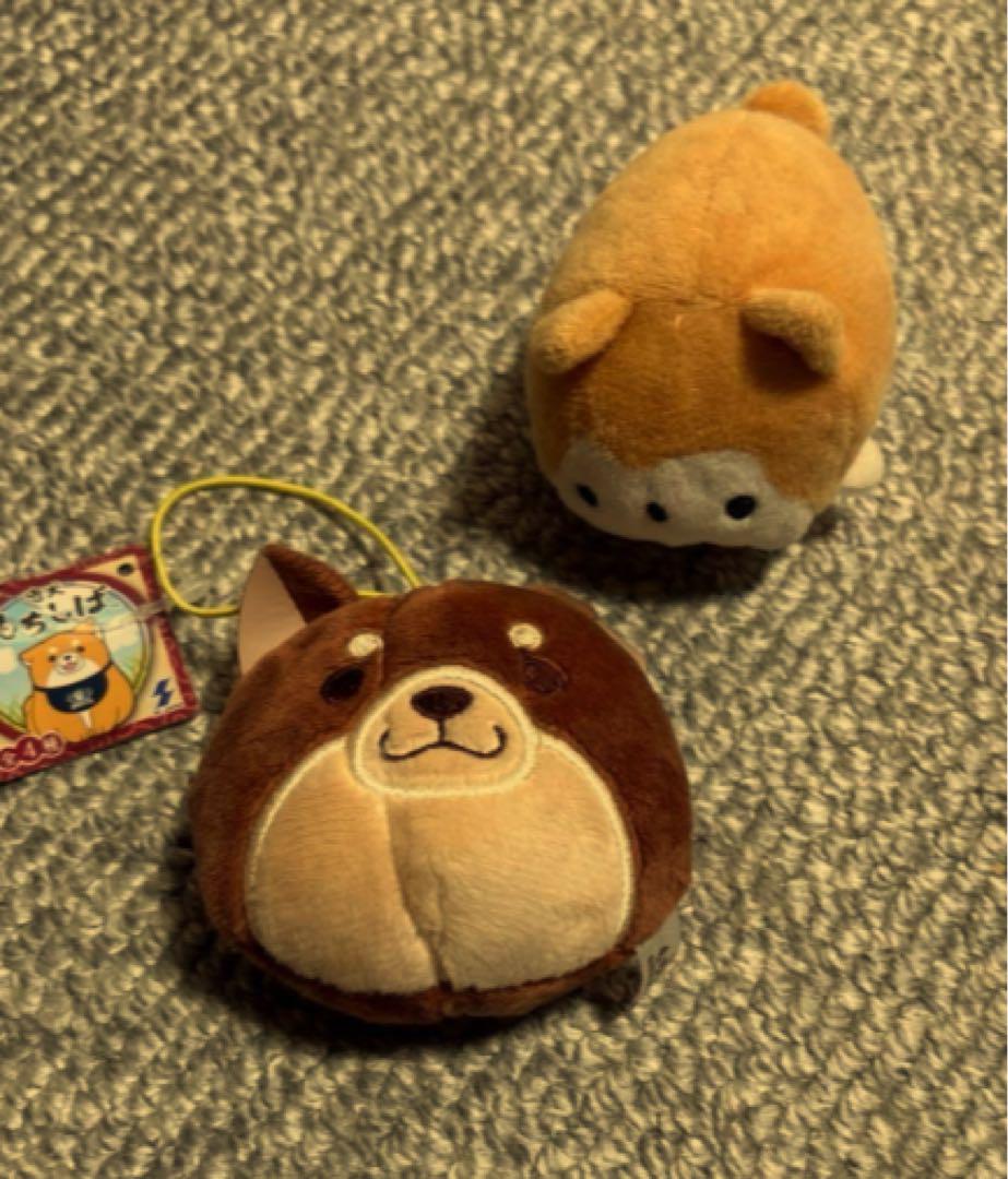 犬のキャラクター ぬいぐるみ タグ付き