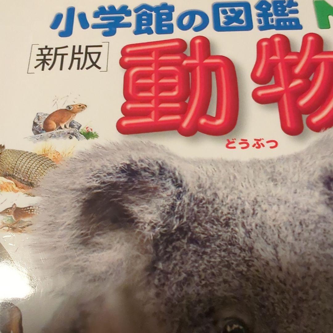 （DVD付き9冊ほか付属品多数）小学館　図鑑　NEO　お得な20冊セット