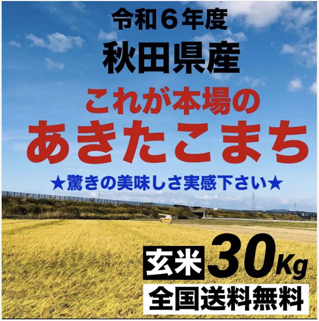 農家直送★令和６年度★新米★秋田県産これが本場のあきたこまち玄米30kg小分け無