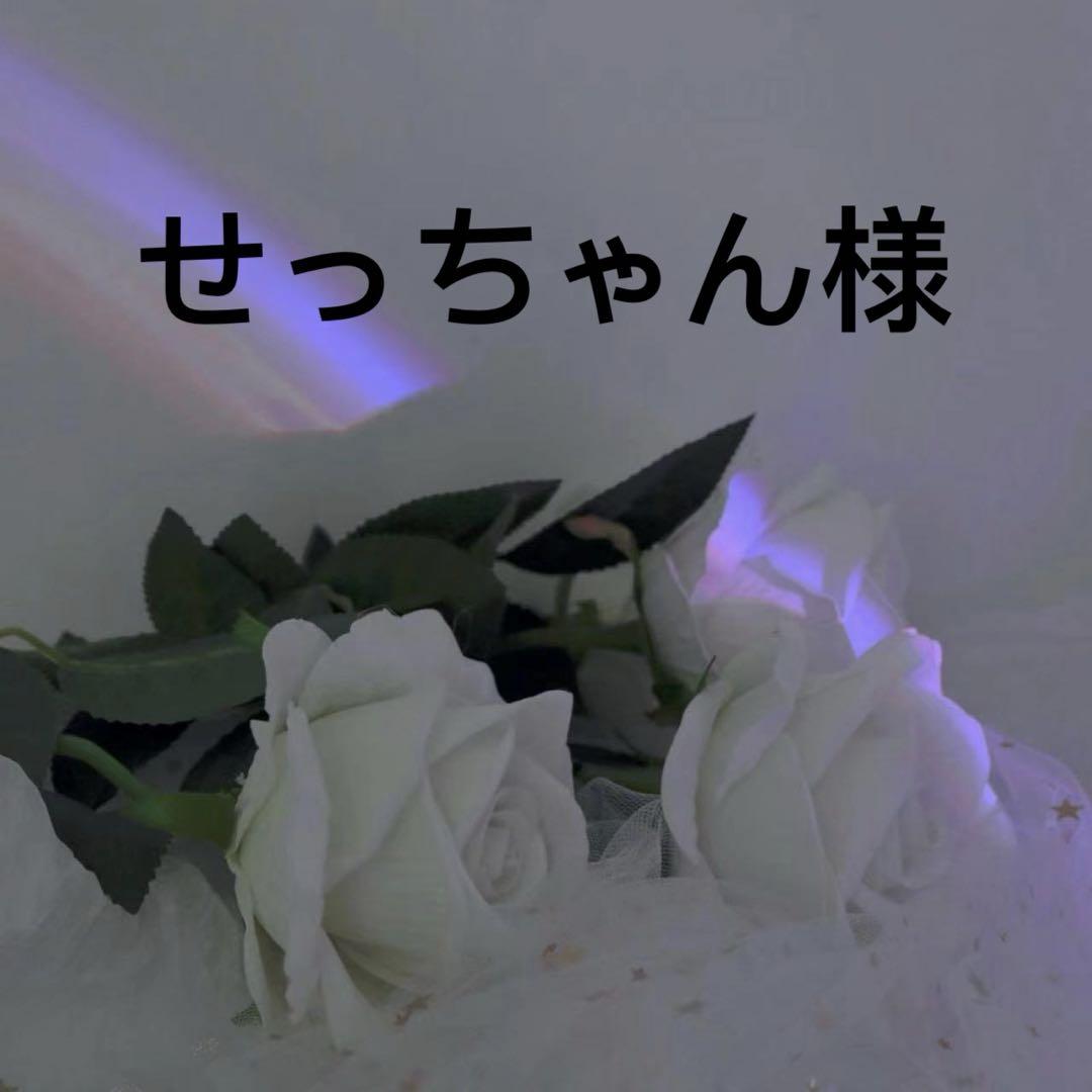 せっちゃん様