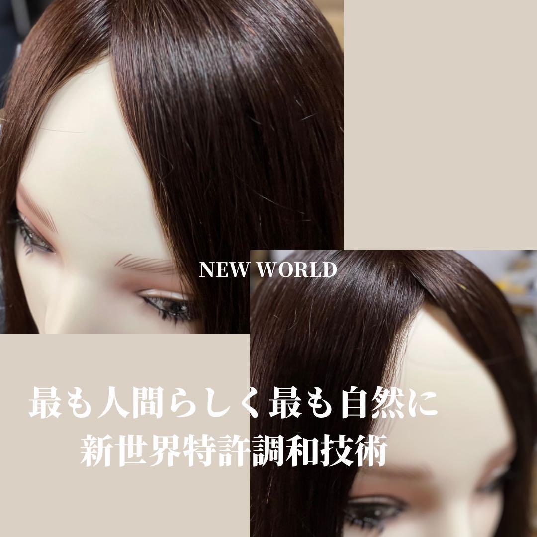人毛100%　ウィッグ　新世界ご愛用リピーター様割引上限2500円適用専用ページ 人毛100％の五分ウィッグショート GB-10 プリシラ | ウィッグ