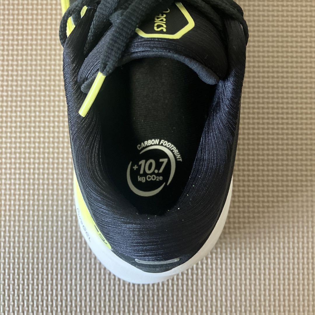 asicsランニングシューズ GEL-KAYANO 30