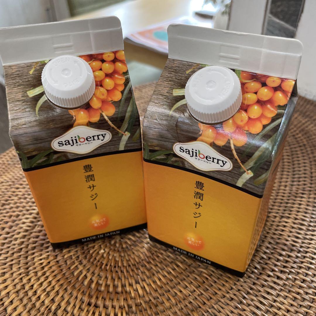 豊潤サジー 300ml 2本セット お試し - メルカリ