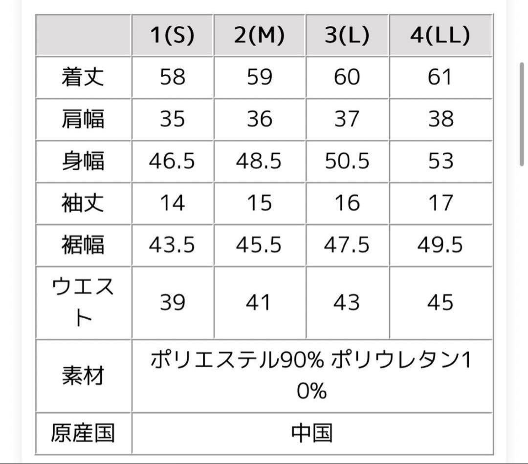 CPG GOLF Active Big Logo Polo レディースL