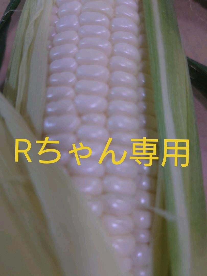 Rちゃん専用