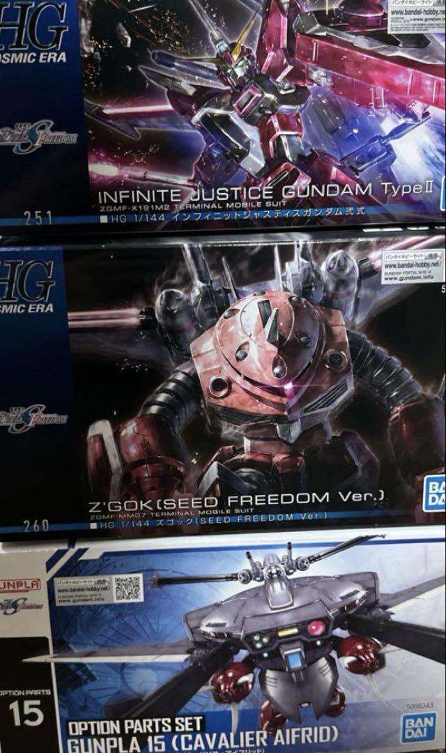 HG SEED ズゴック キャバリアー インフィニットジャスティス セット