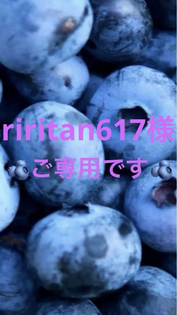 信州産ブルーベリー　　　g