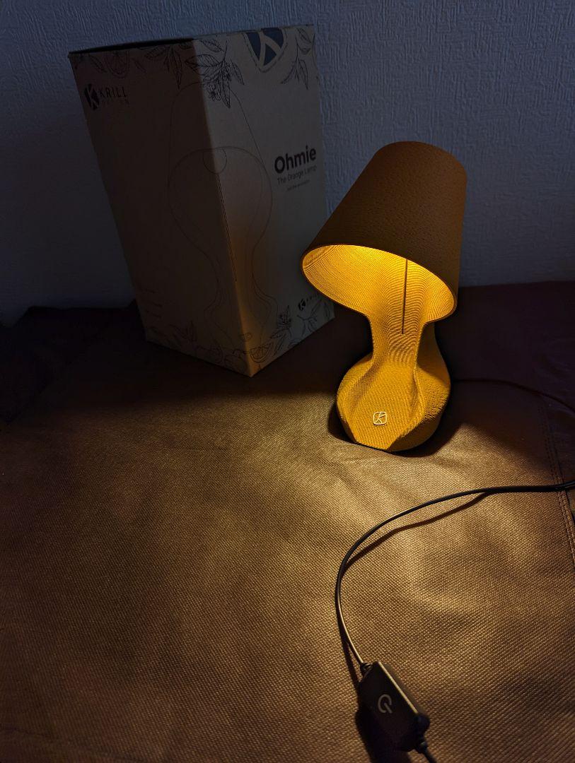 s*e様 ライト オレンジ皮 オーミー オレンジ ランプ Orange Lamp