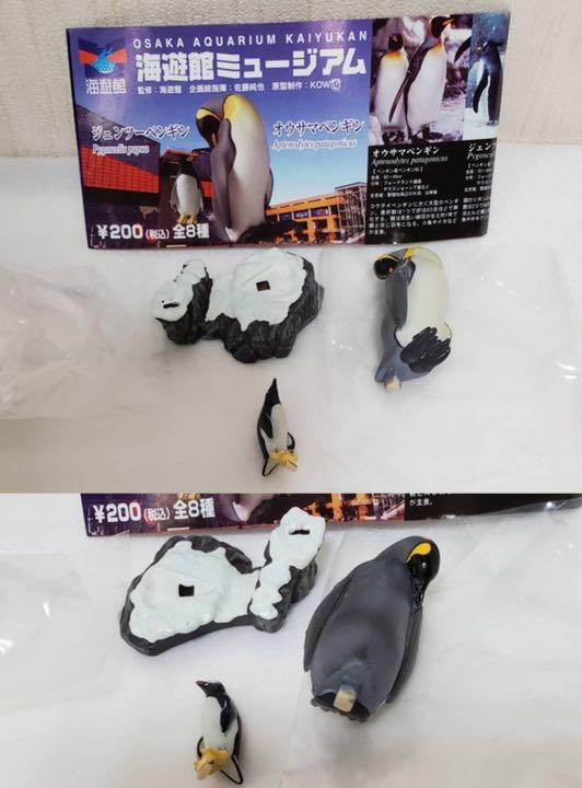 海遊館ミュージアム」開催中！｜海遊館とつながる｜海遊館