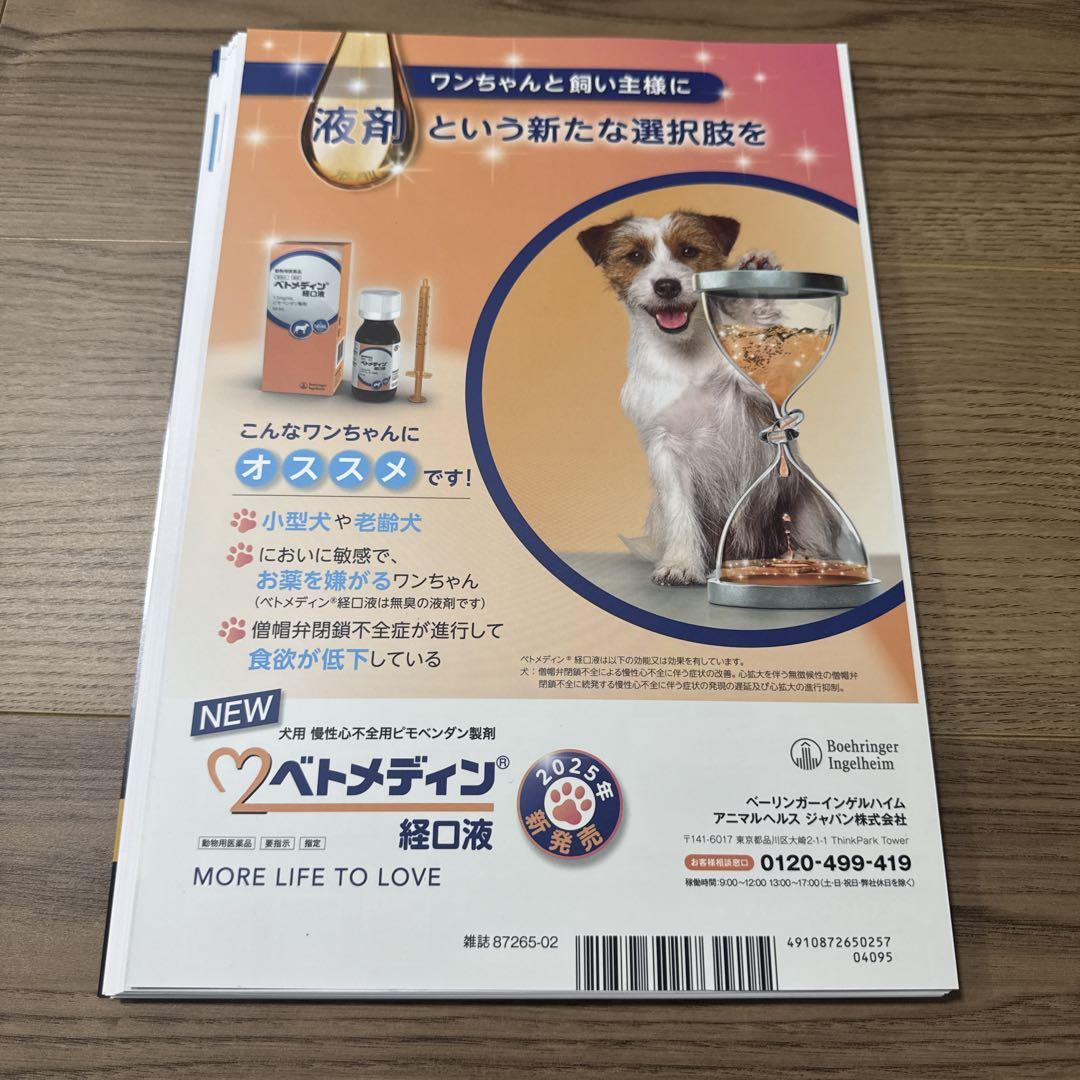 裁断済み】Small Animal Internal Medicine体表腫瘤 - メルカリ