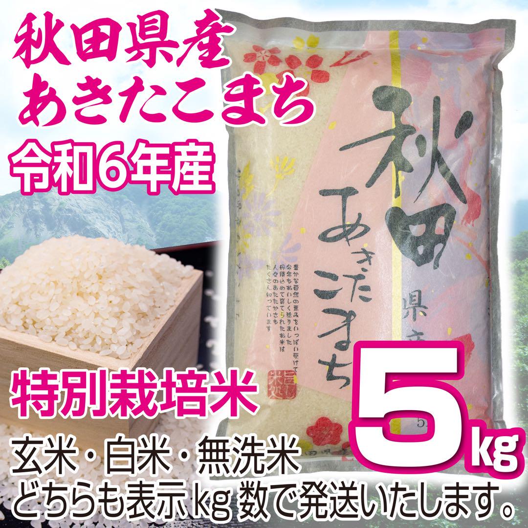 新米 農家直送 秋田県産 令和６年 あきたこまち ５kg 特別栽培米 秋田小町