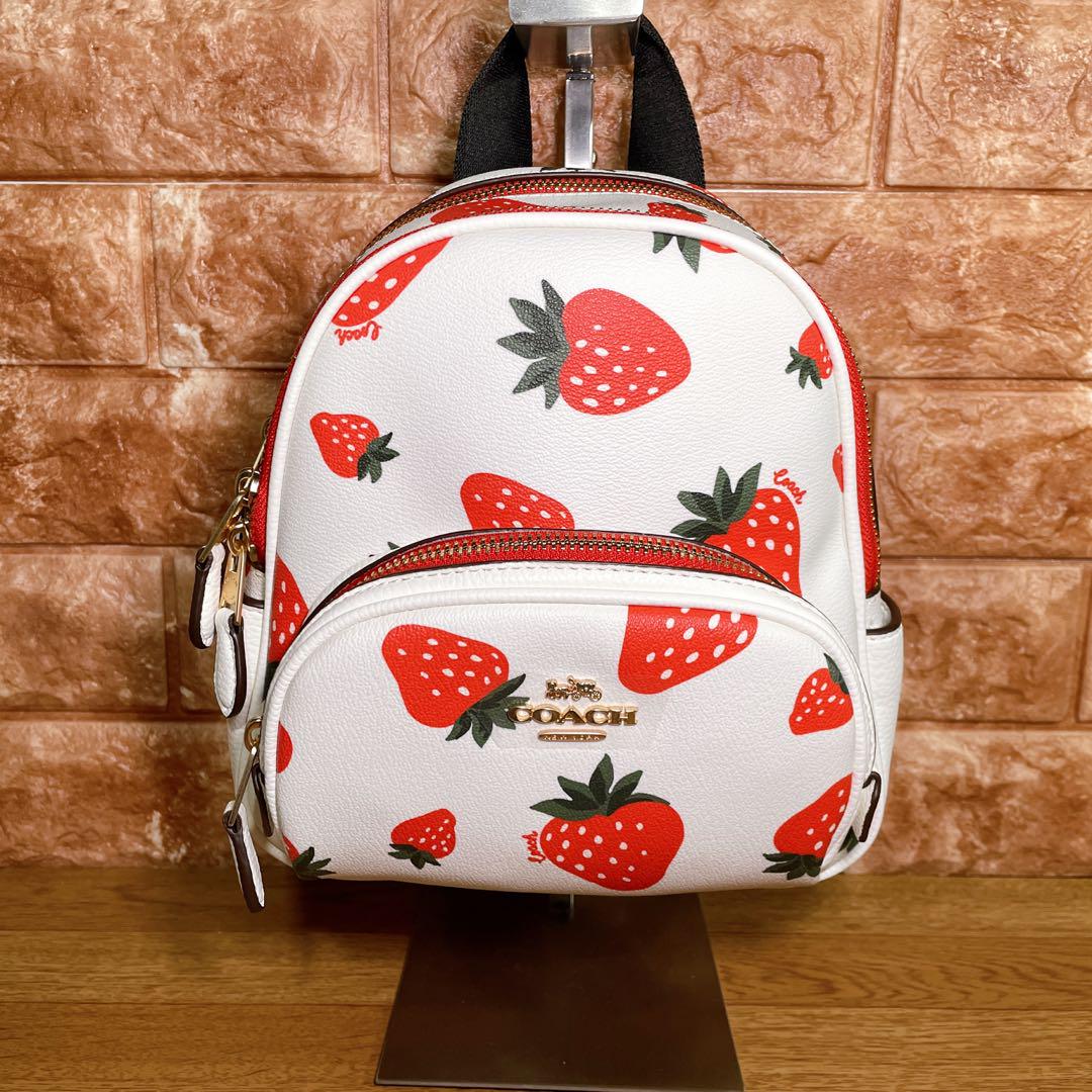 【1点限り⭐️】 COACH バック ミニリュック