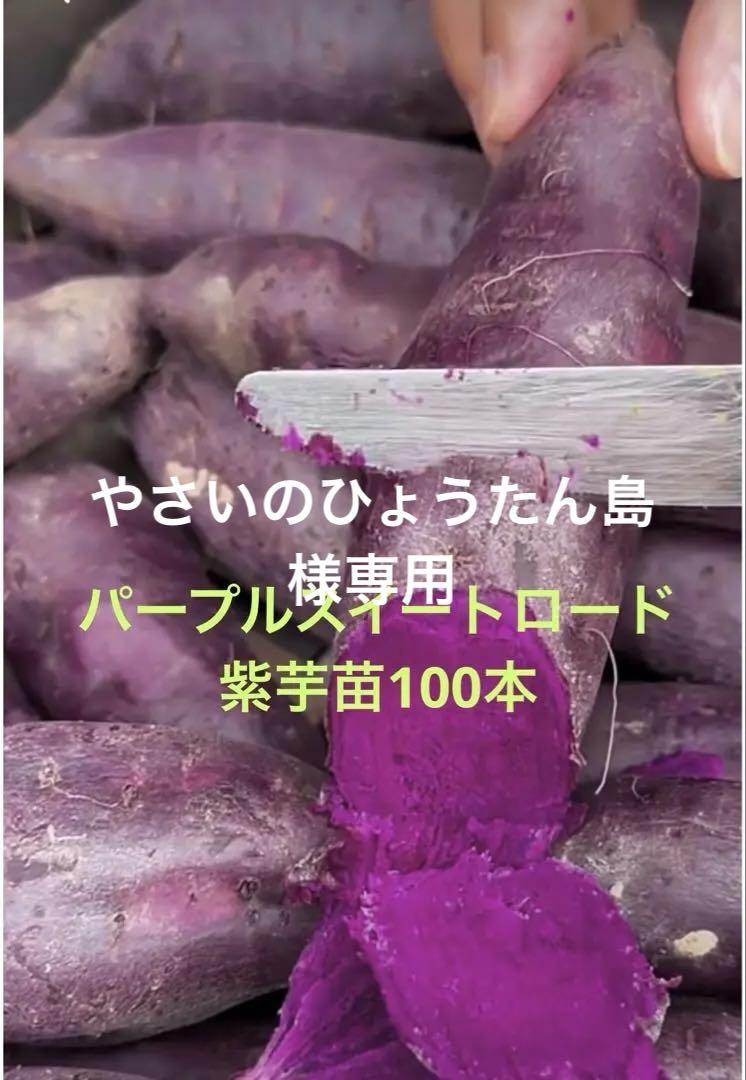 紅はるか100本シルク50本安納芋50本紅あずま50本金時50本 パ-プル50本