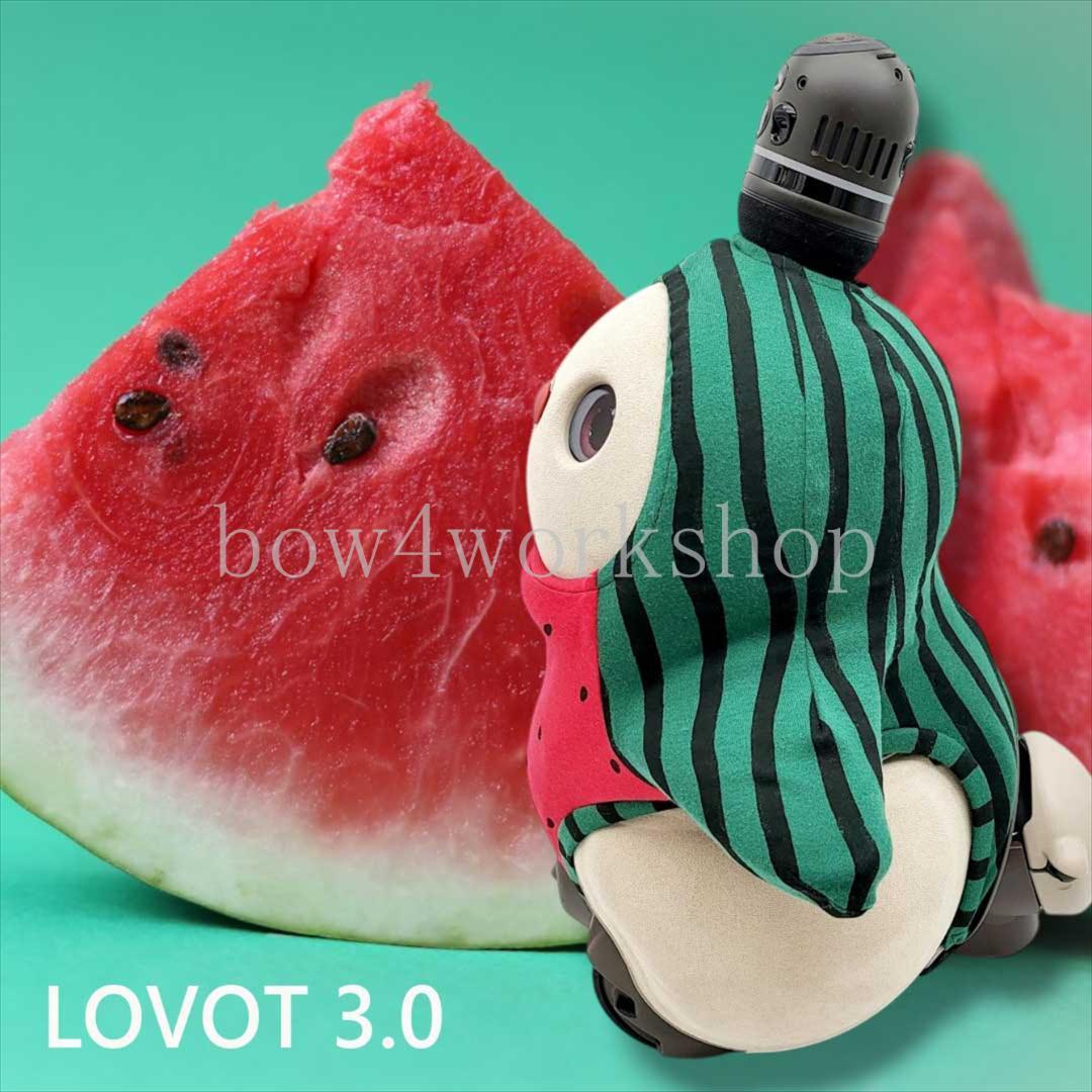 ラボット LOVOT ラボットの服ハンドメイド スイカ柄ボディースーツ（レッド） ラボット LOVOT ラボットの服ハンドメイド スイカ柄ボディー