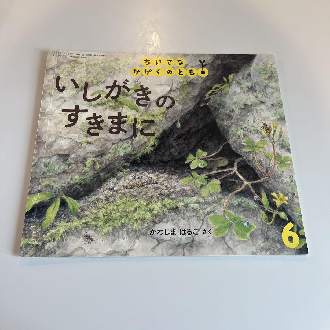 豪華で新しい ちいさなかがくのとも 絵本 メルカリ - 11冊セット 絵本・児童書