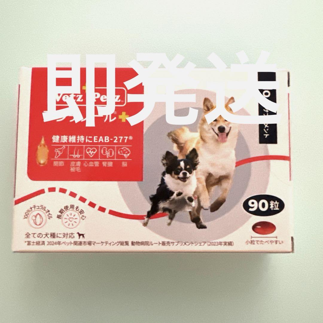 アンチノールプラス90 即発送