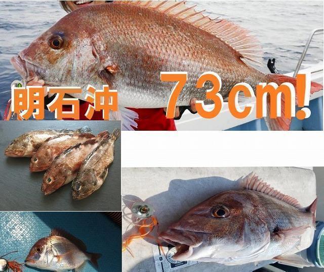 BO【 100g ×2 120g ×2】 タングステン ヘッド　タイラバ　 鯛