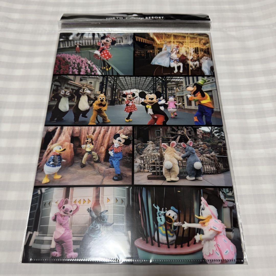 【2枚組】東京ディズニーリゾート クリアホルダー