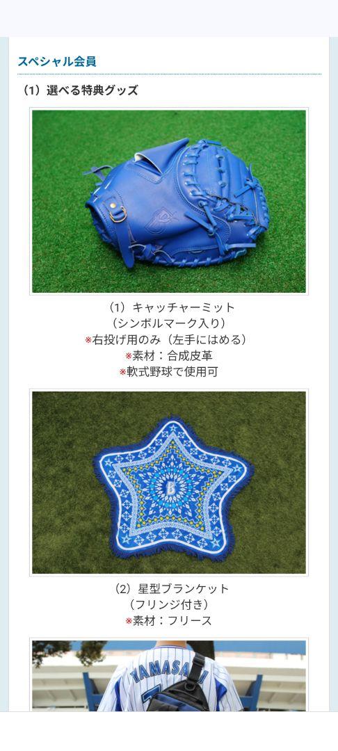 横浜DeNAベイスターズ ファンクラブ キャッチャーミット