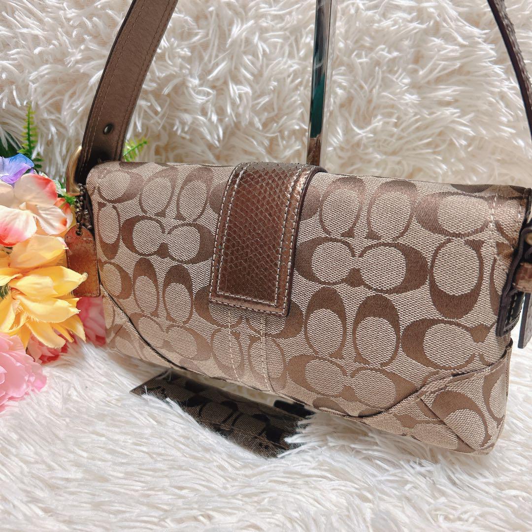 【極美品】coach コーチ 総柄 ロゴ ソーホー パイソン ワンショルダー