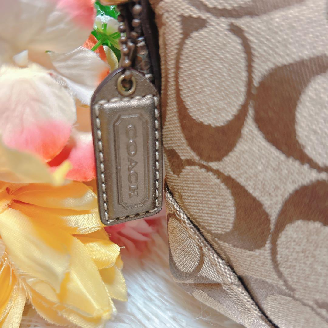 【極美品】coach コーチ 総柄 ロゴ ソーホー パイソン ワンショルダー