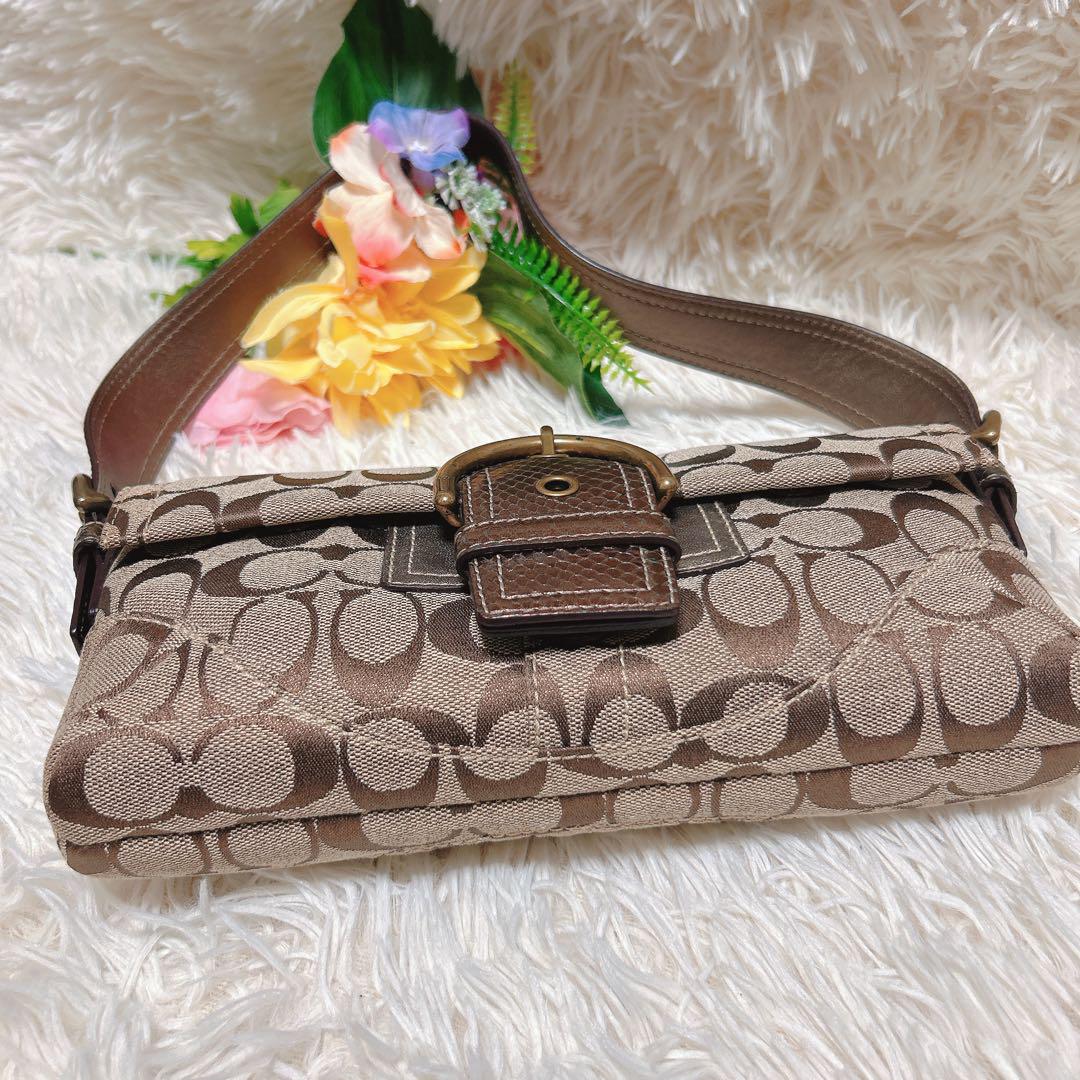 【極美品】coach コーチ 総柄 ロゴ ソーホー パイソン ワンショルダー