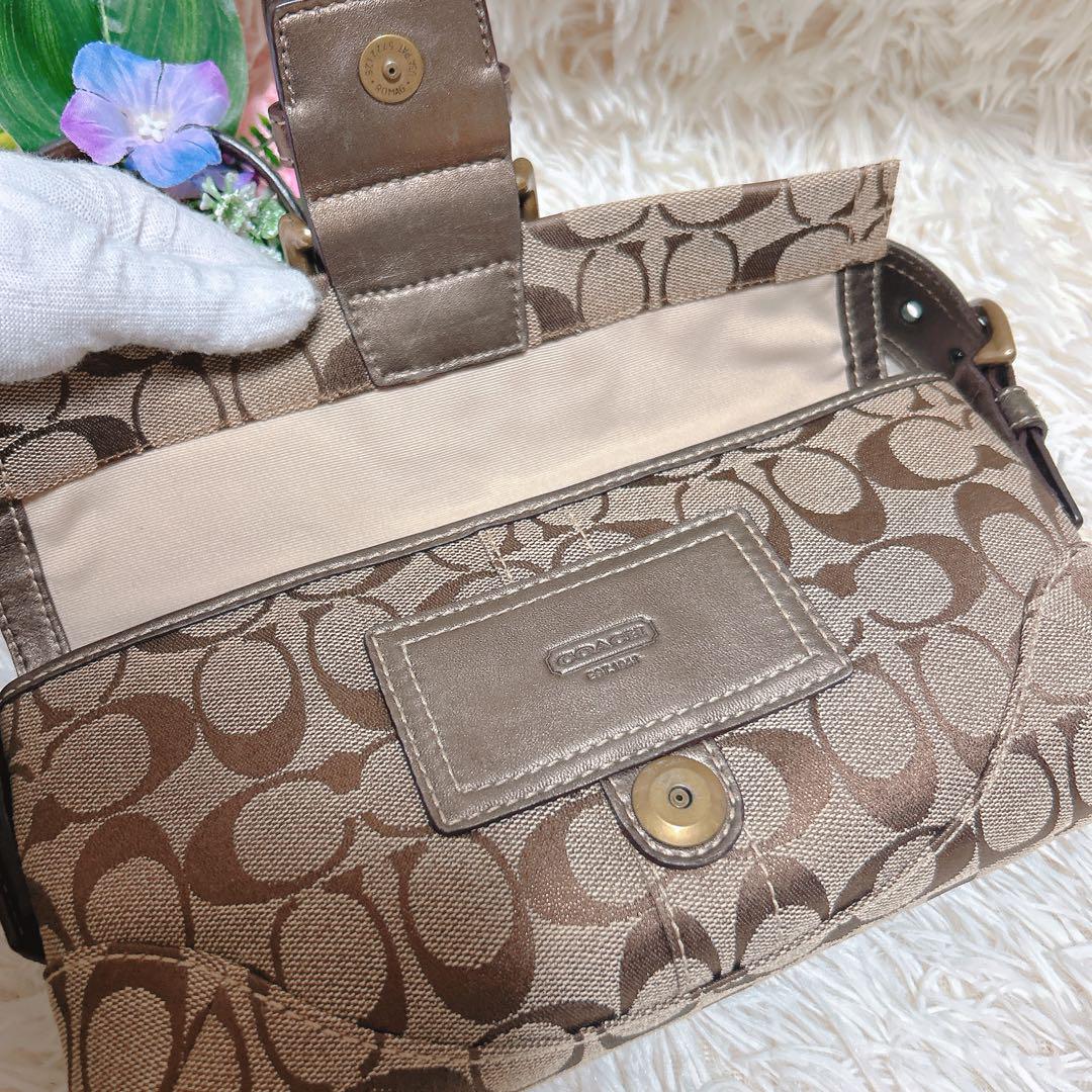 【極美品】coach コーチ 総柄 ロゴ ソーホー パイソン ワンショルダー