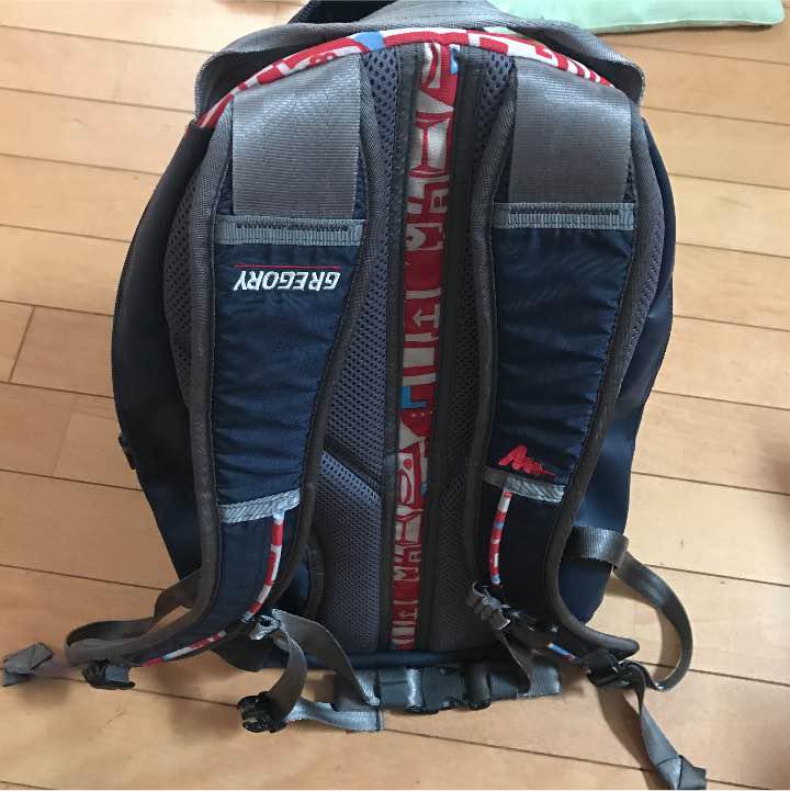 大特価国産 GREGORY リュック 3dnOw-m19709584480 お得在庫あ