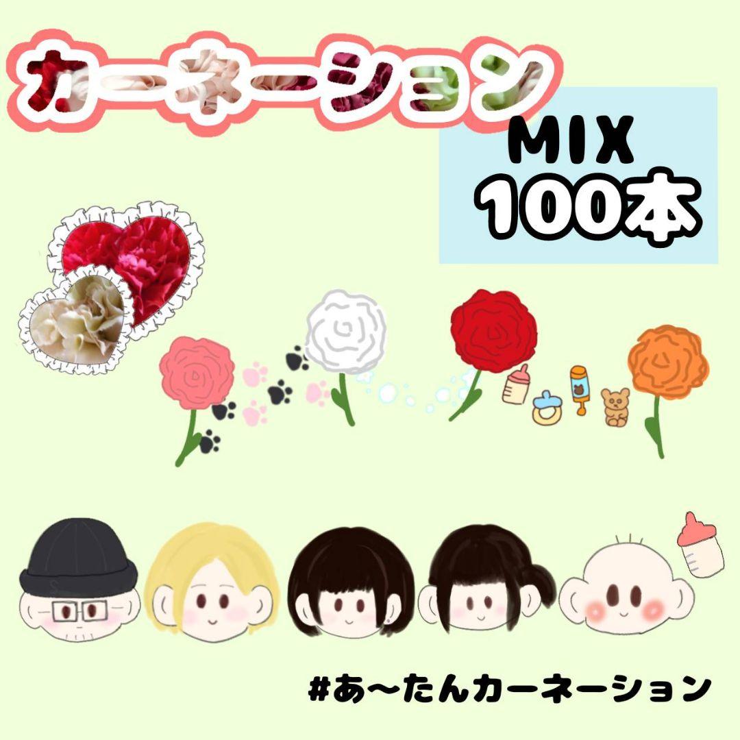 ☆農家直送B級品カーネーション100本福袋☆