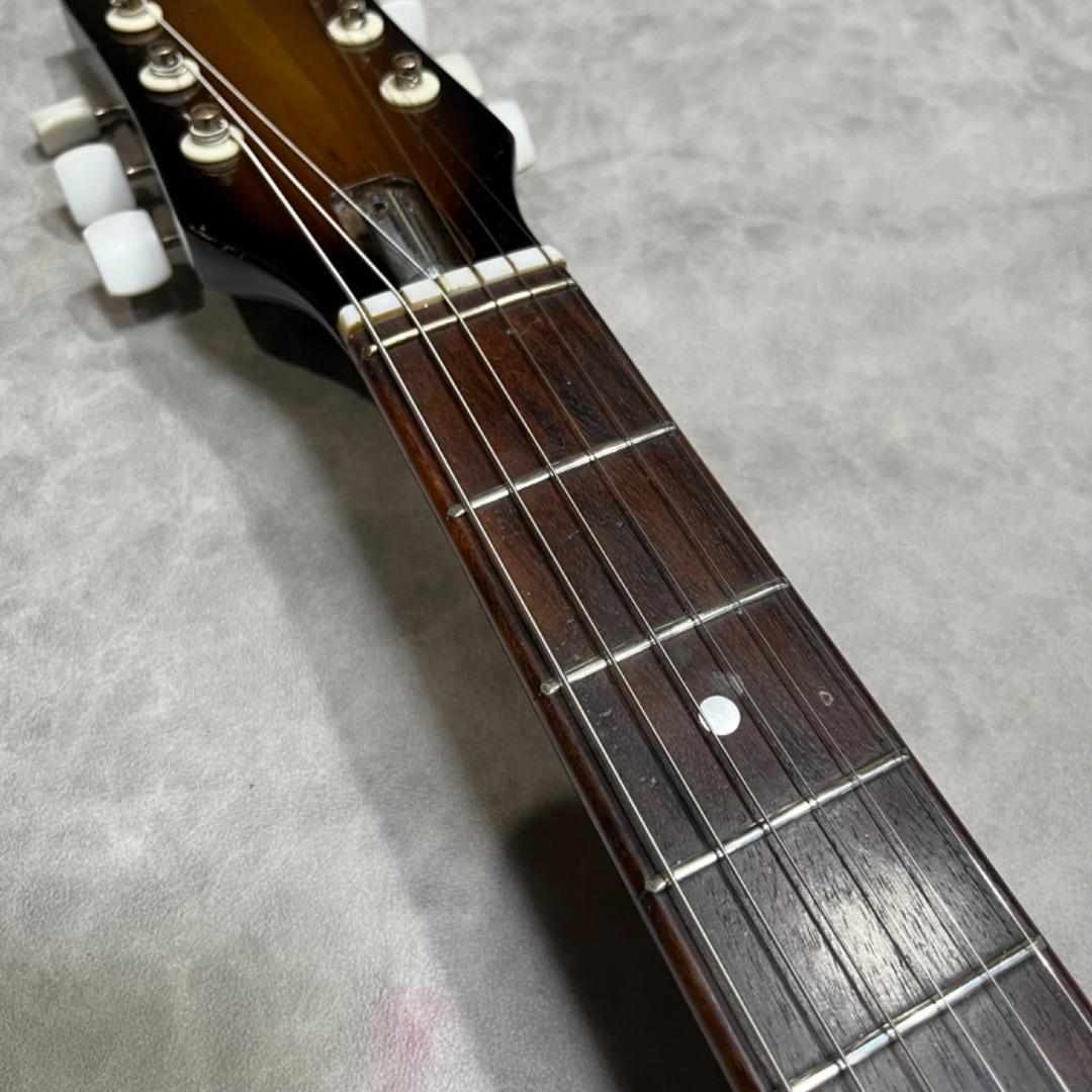 TEISCO EP-2L 1960年代 テスコ　サンバースト