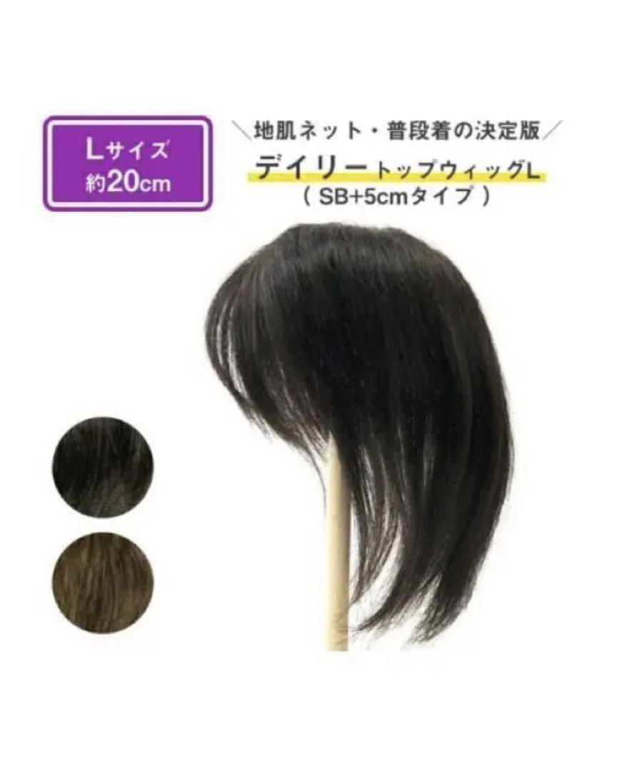 GINGER掲載商品】 美品 リージュ 部分ウィッグ 人毛100% 軽量