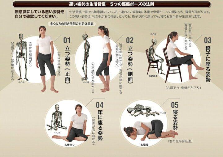 バランサーバンド 腰部・股関節サポート　L 腰部サポーター　ヘルスパワー