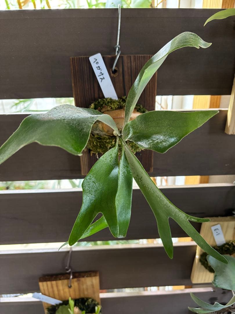 Takashi様 リクエスト 6点 まとめ商品 Takashi様 リクエスト 6点 まとめ商品 専用 リクエスト品