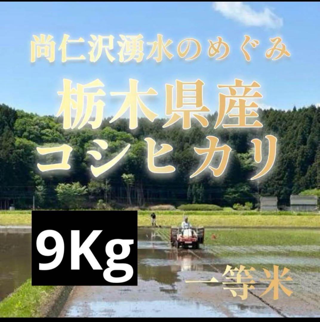 栃木県産 少量生産コシヒカリ お試し 約0.9kg 令和6年産 減農薬米