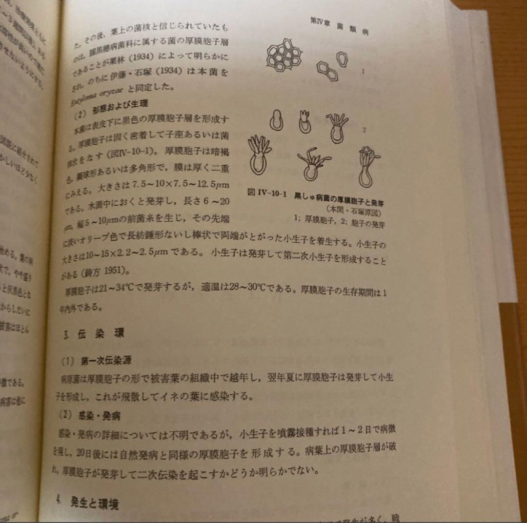 稲の病害　診断・生態・防除　　大畑貫一　全国農村教育協会 稲の病害: 診断・生態・防除 | 大畑 貫一 |本 | 通販 | Amazon