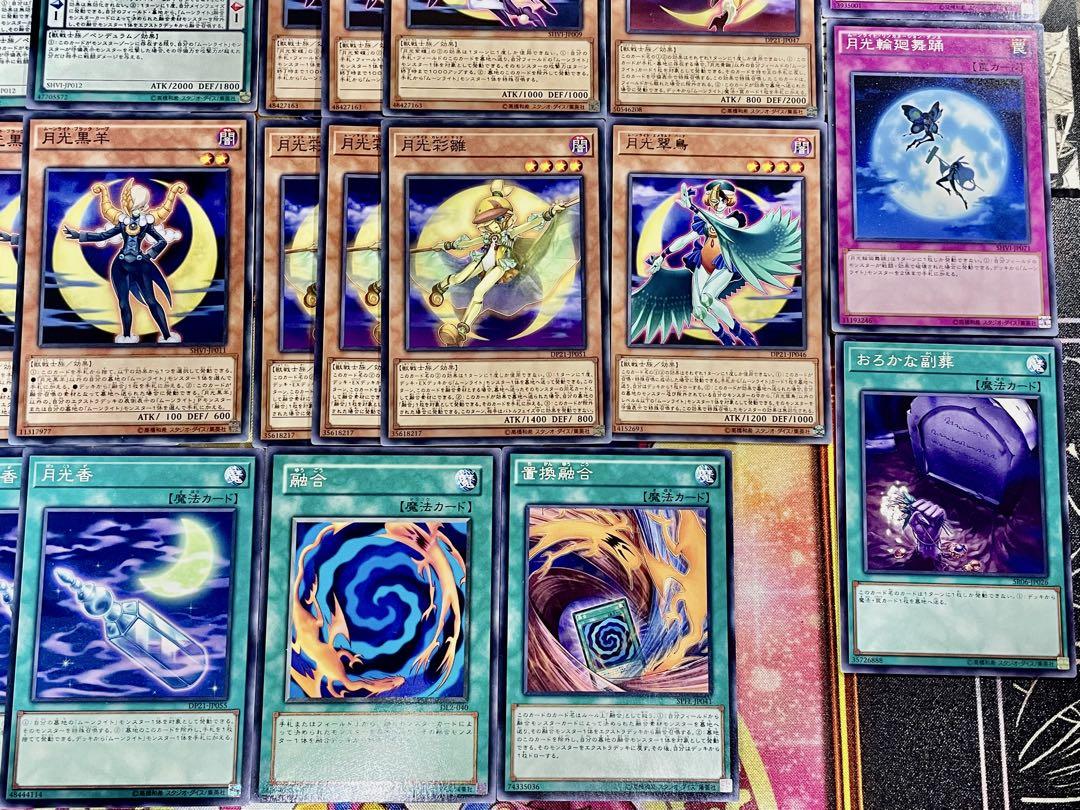 遊戯王 月光 ムーンライト デッキ 新規入り 本格構築 EX完備