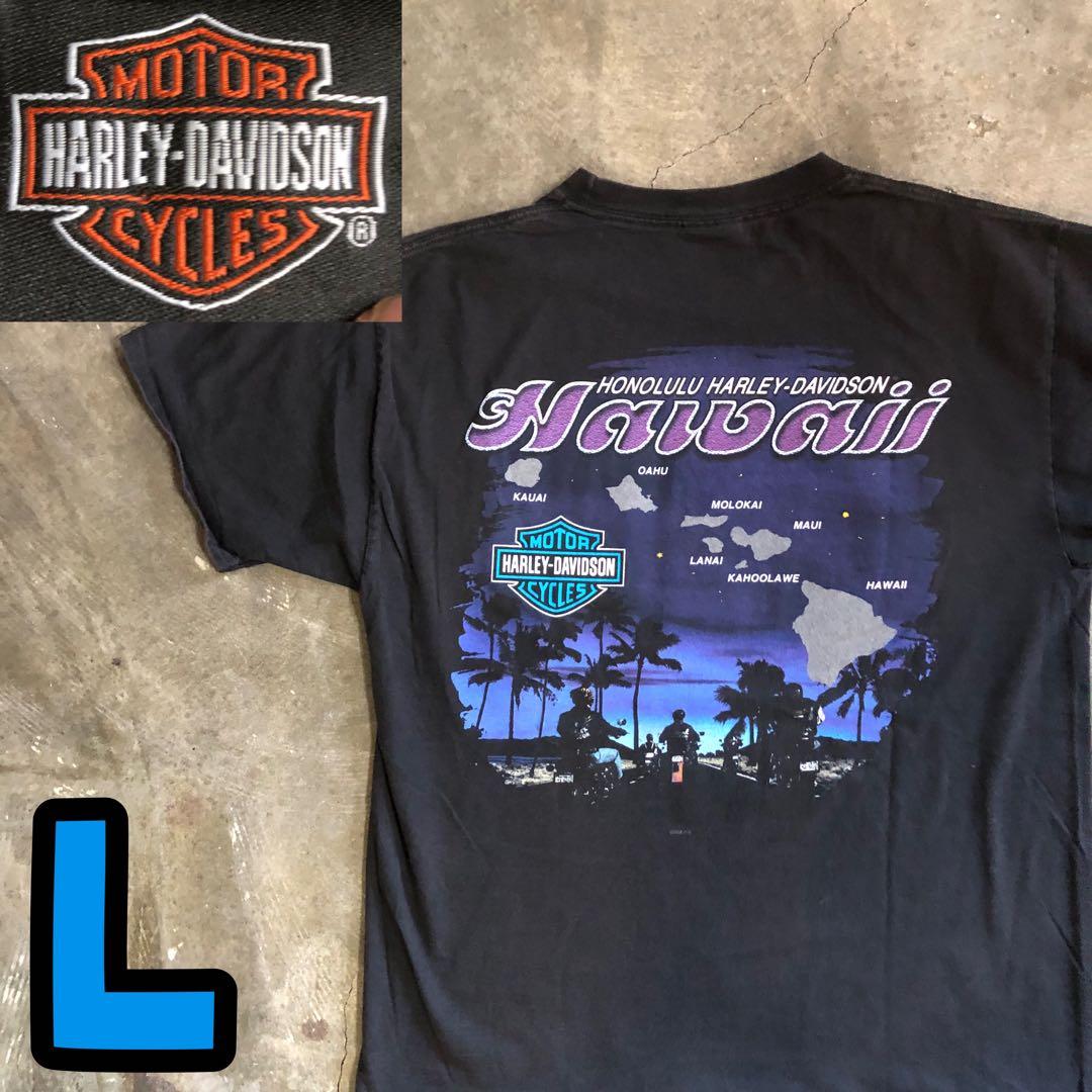 8T6419 HARLEY-DAVIDSON Tシャツ Hanes 古着L Harley-Davidson