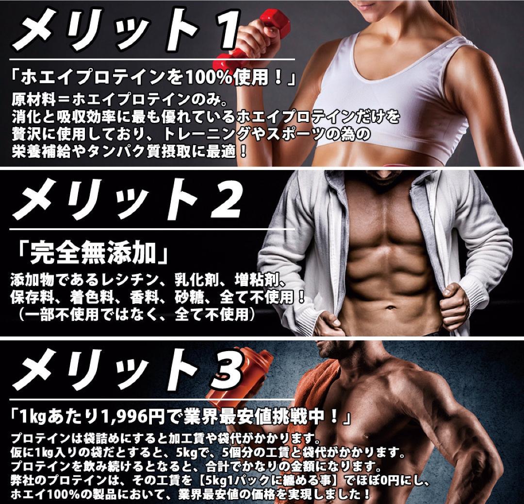 ダブルリッチチョコレート風味のホエイプロテイン5kg 国産 無添加 WLlAh-m19806660963 新品 最安値特価