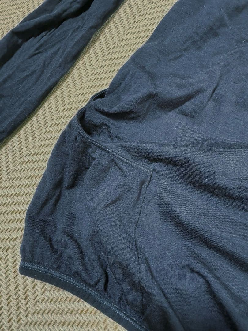 icebreaker ウールフーディー