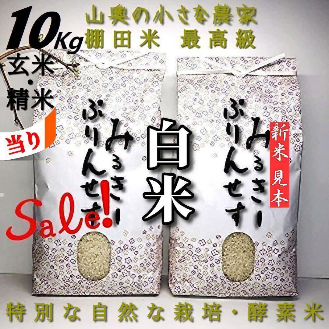 【希少】ミルキープリンセス　酵素米　玄米10ｋｇ「標準白米に精米」