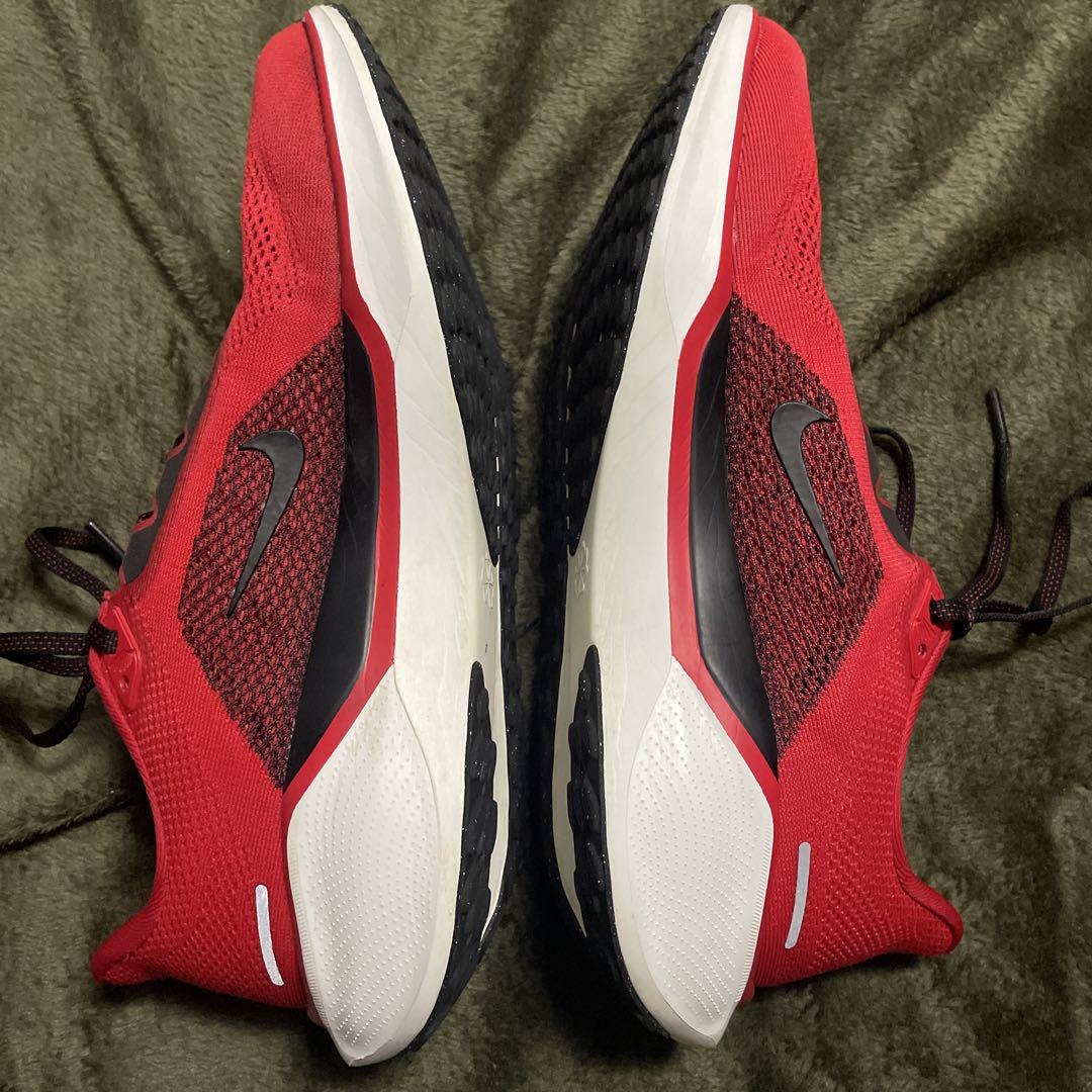 NIKE ペガサス41 26.5㎝