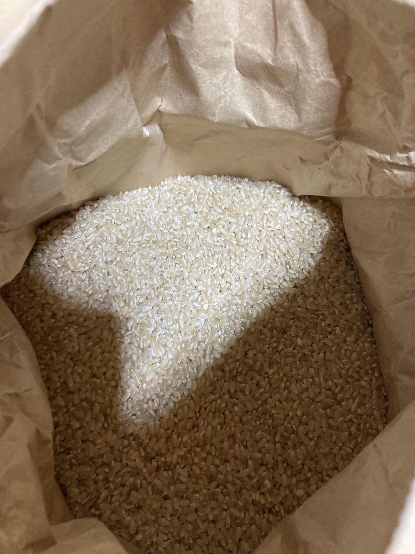 ⭐️令和6年度　福島産　ひとめぼれ　お米　玄米10kg