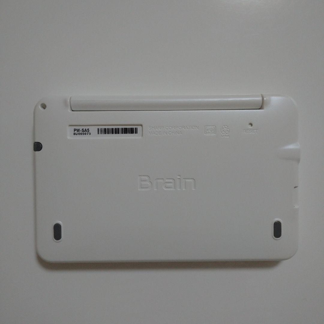 Brain