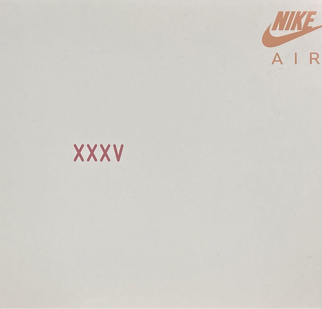 NIKE AIR MAX1 Premium Wabi Sabiナイキエアマックス