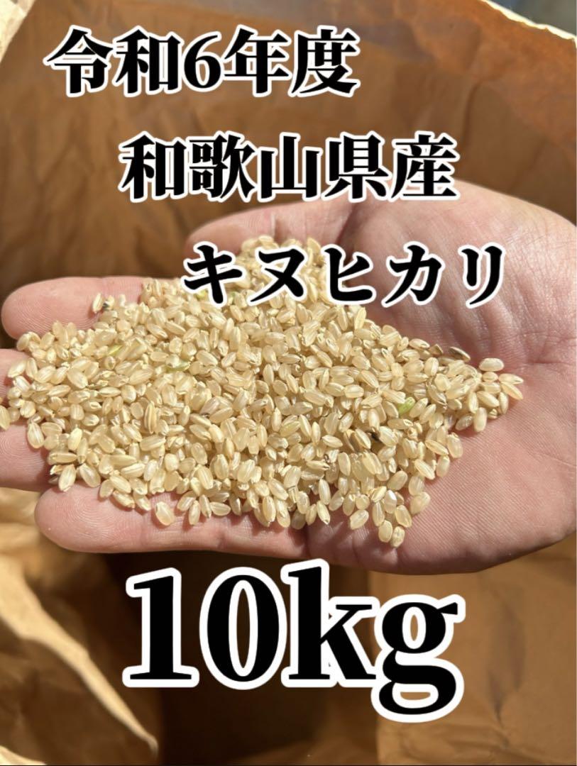 令和6年度 新米 和歌山県産 キヌヒカリ 10kg 玄米