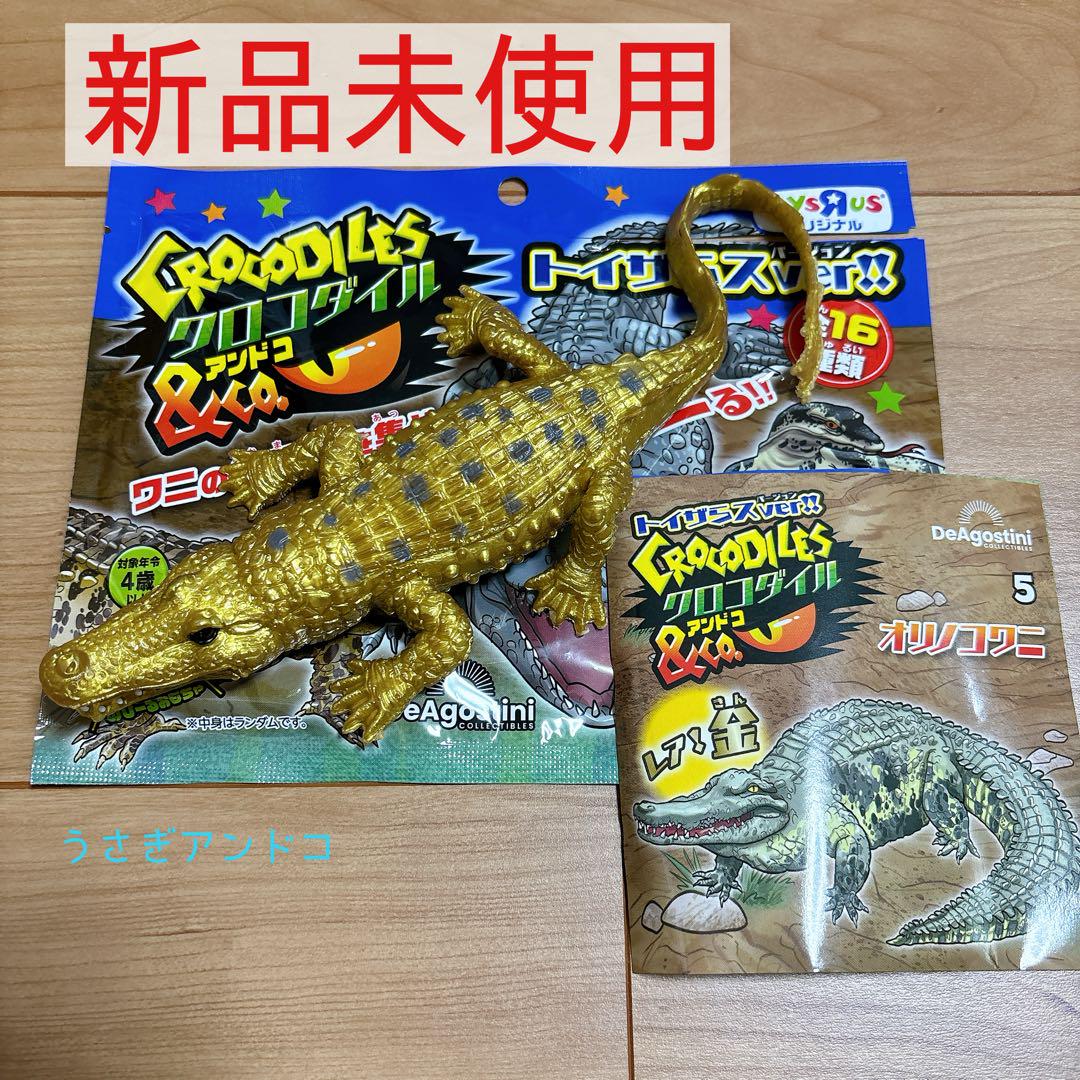 クロコダイルアンドコ クロコダイル&co. オリノコワニ 金