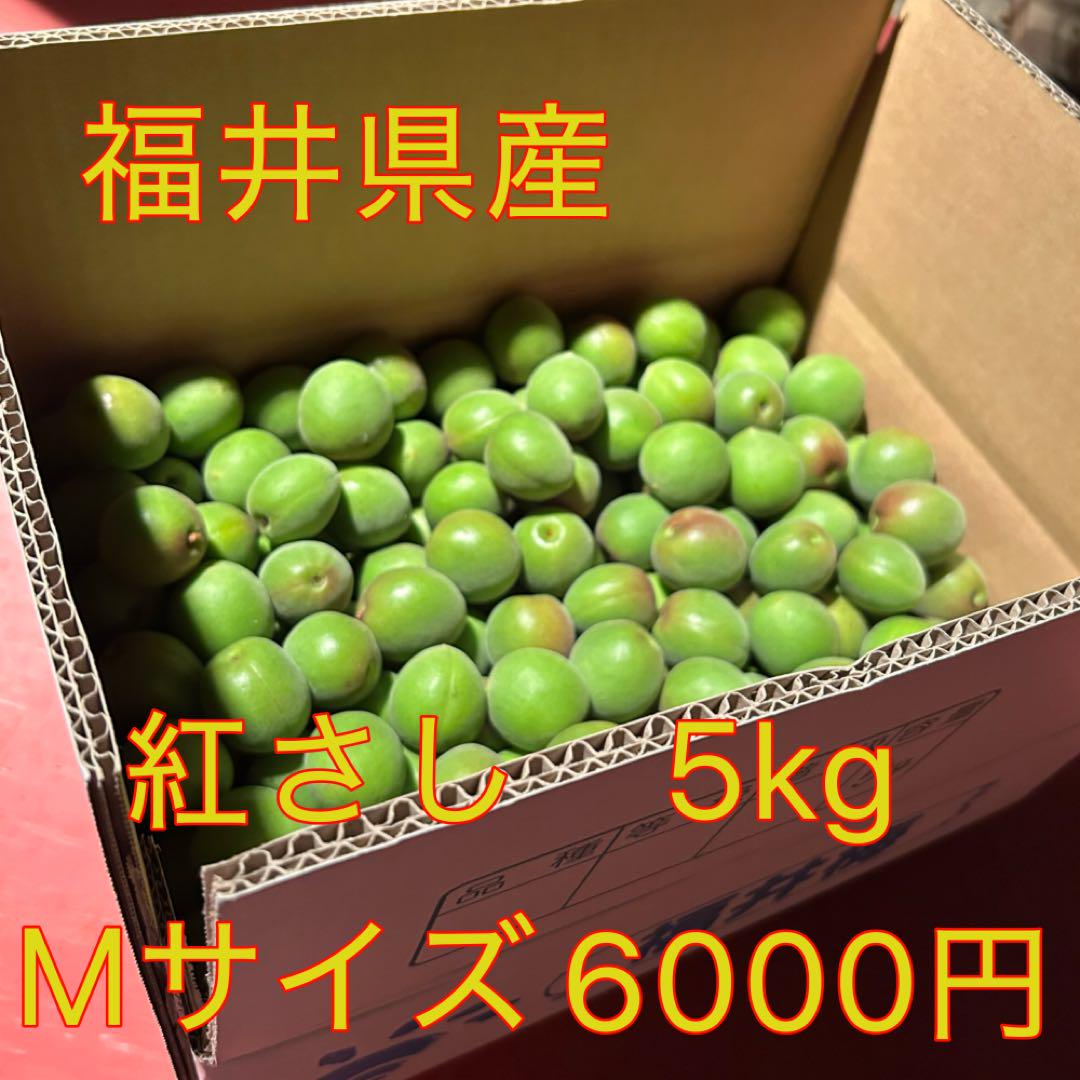 161❤️青梅5kg Mサイズ 紅さし　秀品