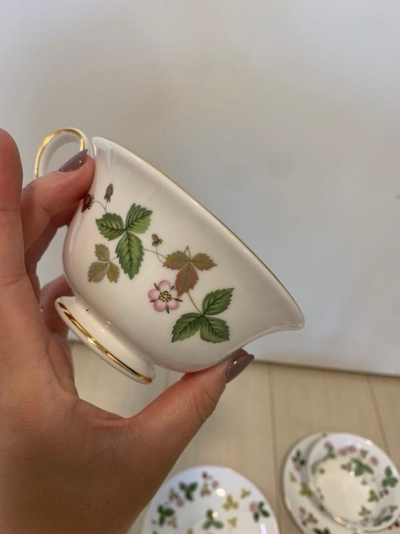 WEDGWOOD