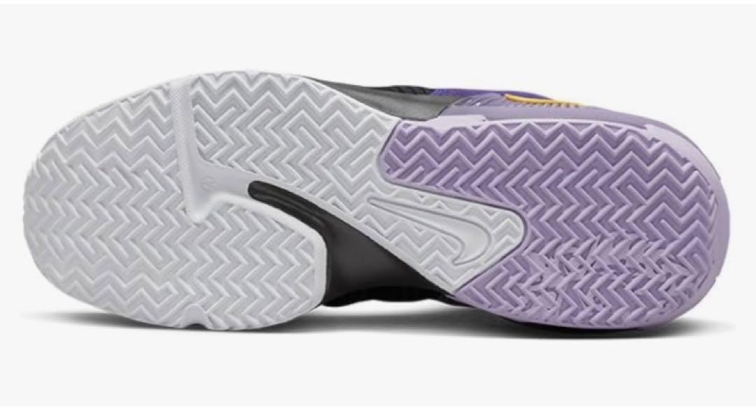 ◇新品　NIKE レブロン　ウィットネス　27.5センチ　送料込み