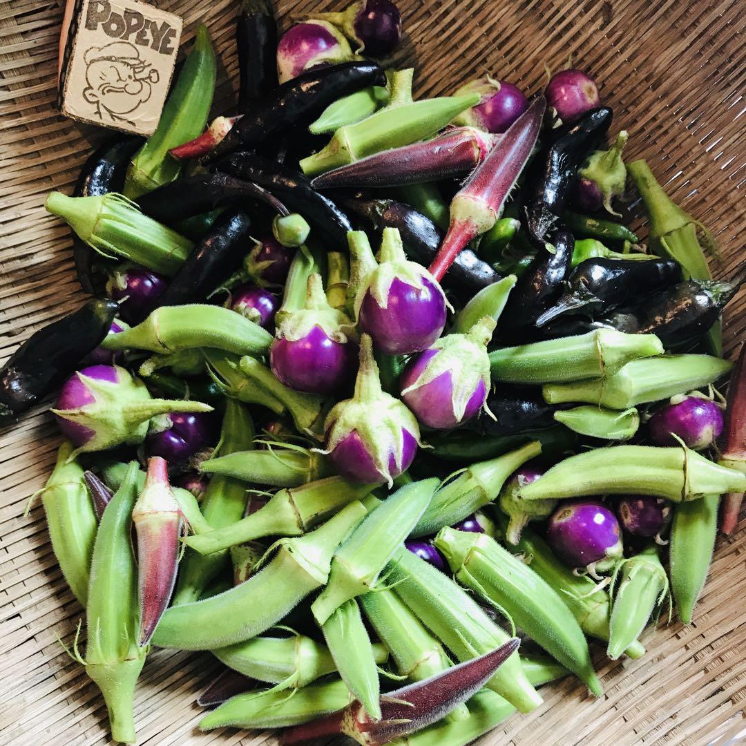 ポパイ畑♢野菜ネコポスsize8 1(月)♤常温発送☆茨城県産